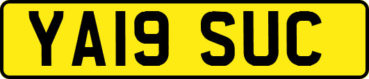 YA19SUC