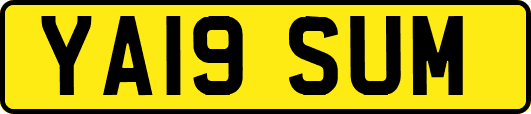 YA19SUM
