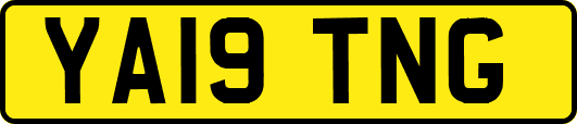YA19TNG