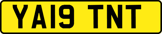 YA19TNT