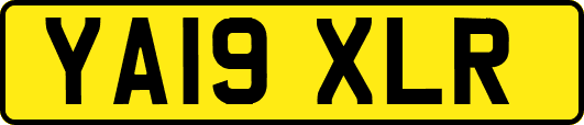 YA19XLR