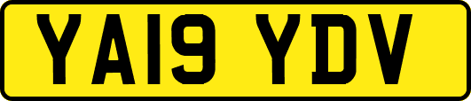 YA19YDV