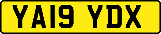 YA19YDX