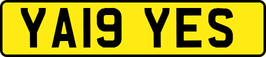 YA19YES
