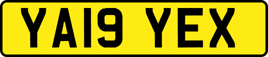 YA19YEX