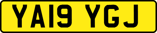YA19YGJ