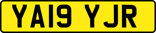 YA19YJR