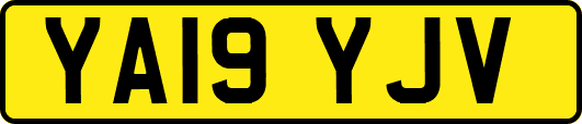 YA19YJV