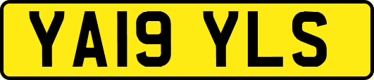YA19YLS