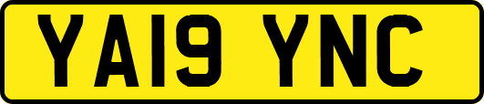 YA19YNC