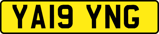 YA19YNG