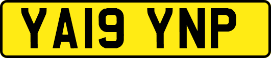 YA19YNP
