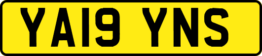 YA19YNS