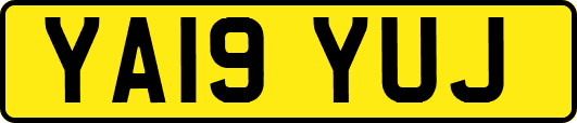 YA19YUJ