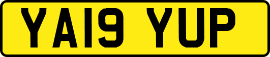 YA19YUP