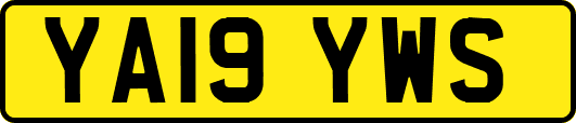 YA19YWS