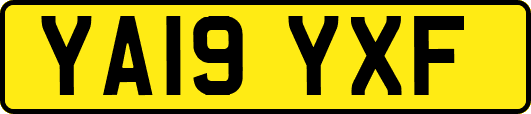YA19YXF