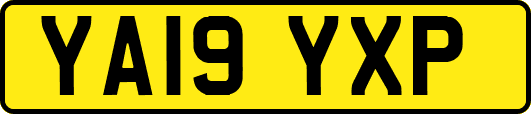 YA19YXP