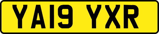 YA19YXR
