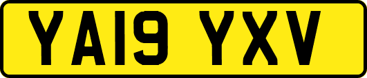 YA19YXV