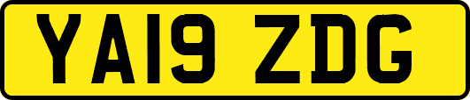 YA19ZDG