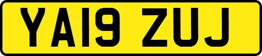 YA19ZUJ