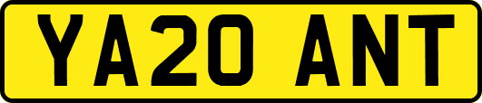 YA20ANT