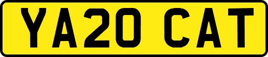 YA20CAT