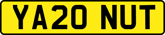 YA20NUT