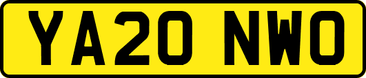 YA20NWO