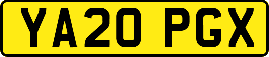 YA20PGX