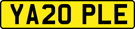 YA20PLE
