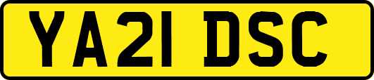YA21DSC