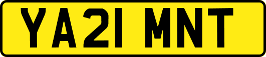 YA21MNT