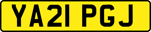 YA21PGJ