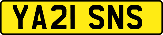 YA21SNS