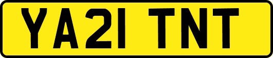 YA21TNT
