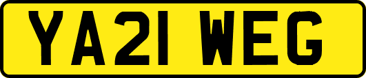 YA21WEG