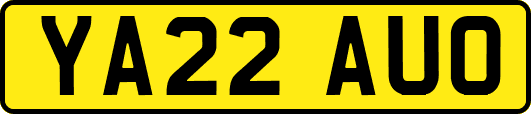 YA22AUO