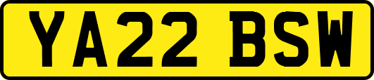 YA22BSW