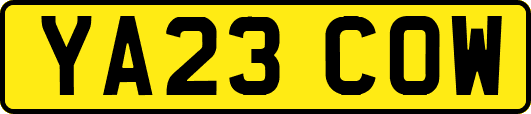 YA23COW