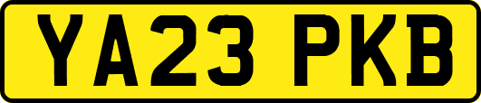 YA23PKB