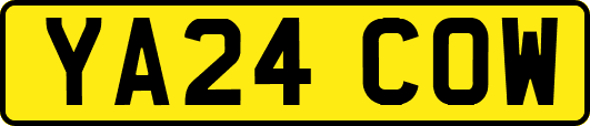 YA24COW