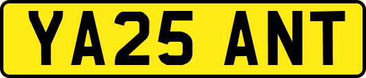 YA25ANT