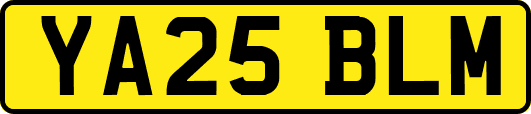 YA25BLM