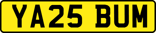 YA25BUM