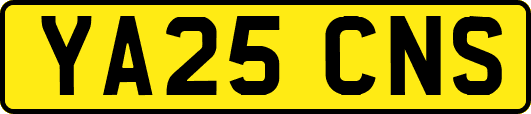YA25CNS