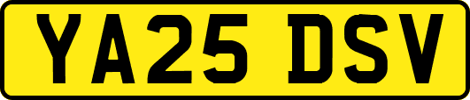 YA25DSV