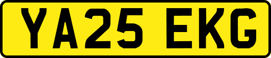 YA25EKG