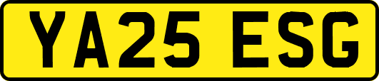 YA25ESG